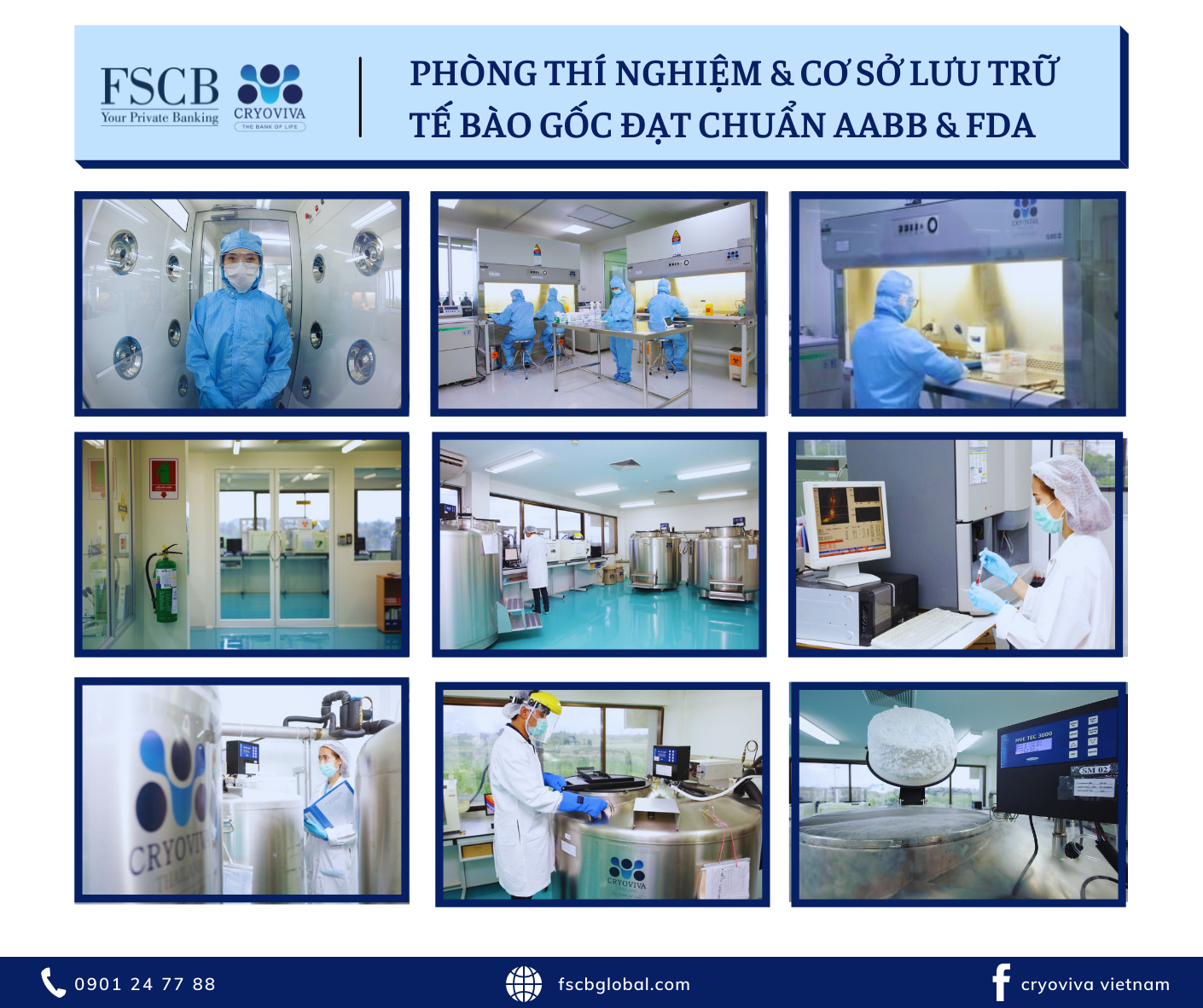 quy trình vận chuyển và xử lý tế bào gốc cuống rốn