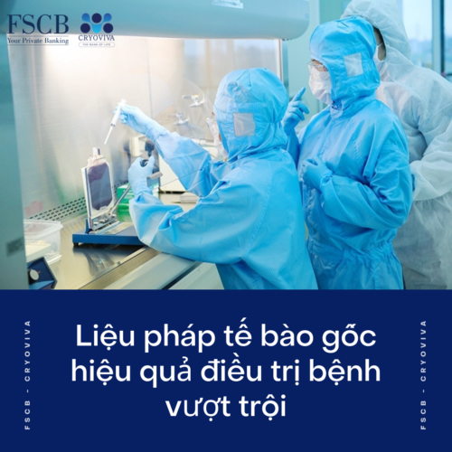 liệu pháp tế bào gốc