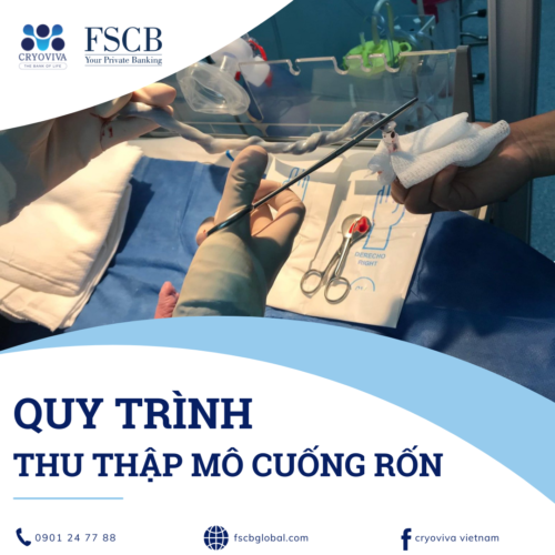 thu thập mô cuống rốn