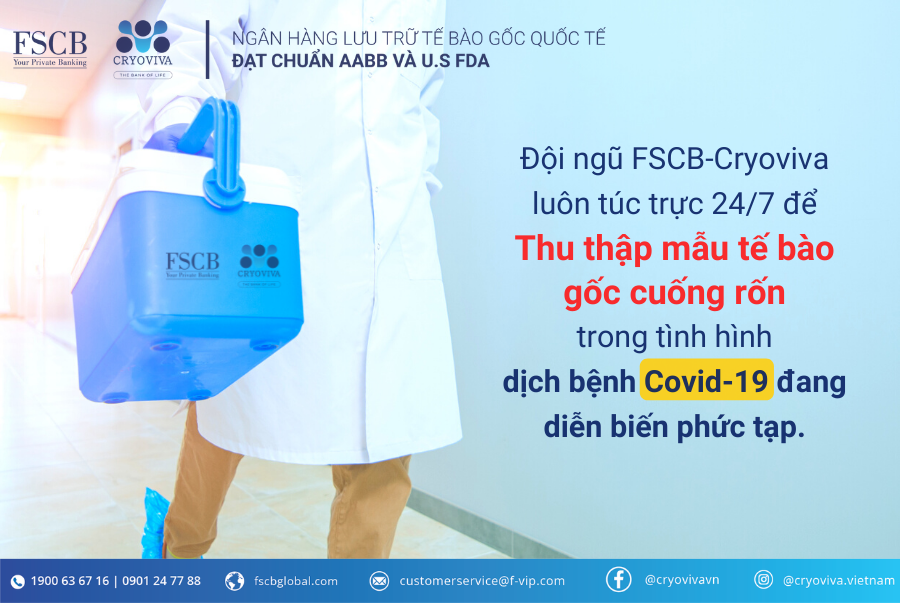 vận chuyển mẫu tế bào gốc cuống rốn