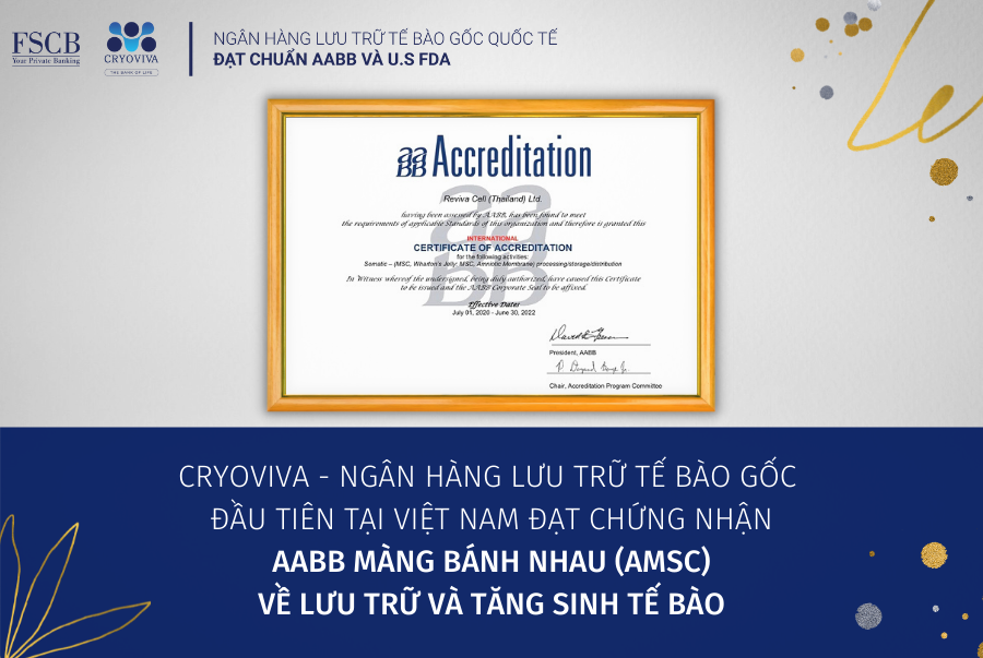 lưu trữ màng bánh nhau đạt chuẩn aabb