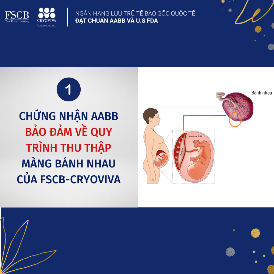 lưu trữ màng bánh nhau đạt chuẩn aabb