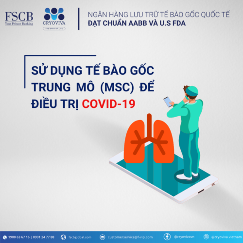 tế bào gốc trung mô msc điều trị covid-19