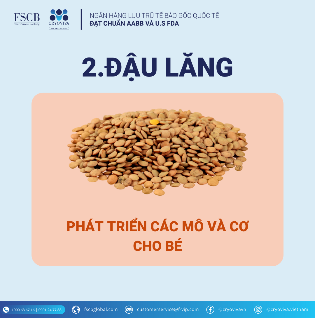 thực phẩm tốt cho mẹ bầu